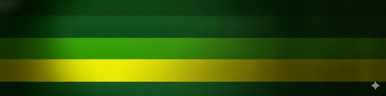 Bienvenue au NEC BASKETBALL