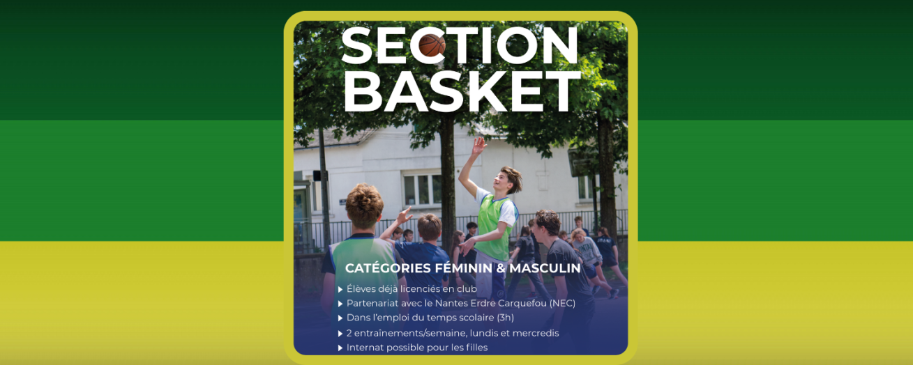 Section Basket